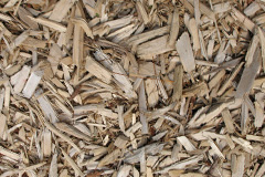 biomass boilers Brigstock